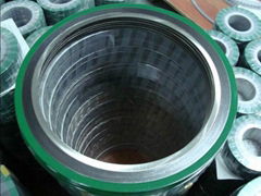 Flanges Spiral Wound Gasket