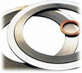 Kammprofile Gasket with Integral Ourer Ring 1