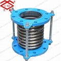 Competitive Price Stainless Steel Expansion Joint 1