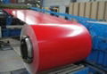 Pre-painted Steel coil 3