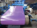 Pre-painted Steel coil 5