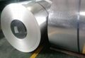 Hot Hipped Galvalume Steel Coil