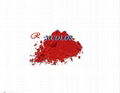 Solvent Red 24 1