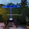 17m 100LED Blue Solar LED Fairy Light