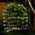 2mx2m 210led warm White LED Net Light for outdoor tree decoration 2