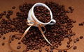 Coffea arabica 1