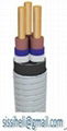 Electrical Submersible Pump Cable 1