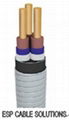 Electrical Submersible Pump Cable