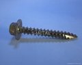 Hex Head Washer Roofing Screw #10X2"