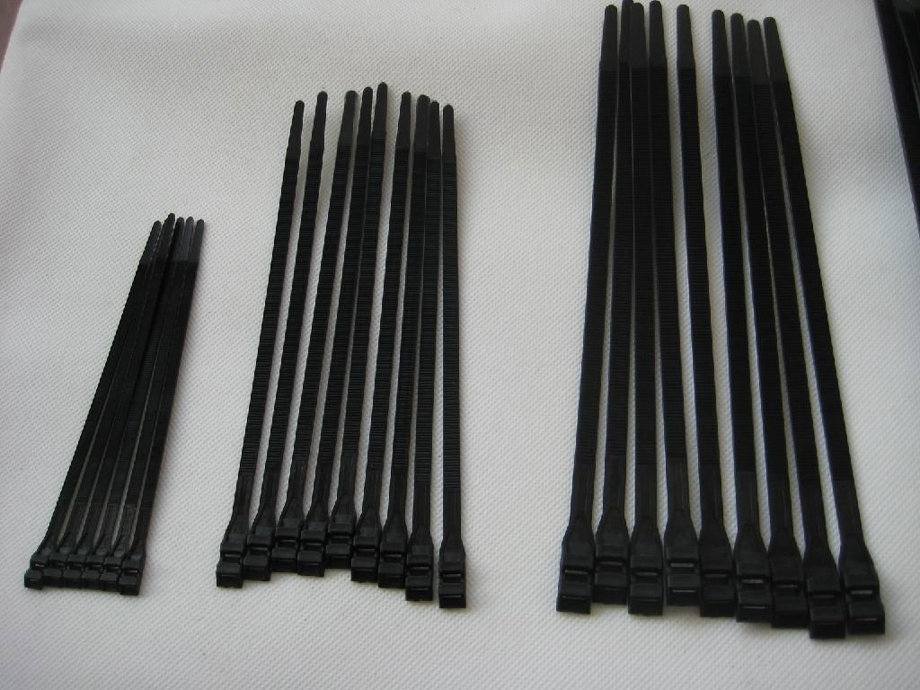 cable tie mould ,industry mould  3