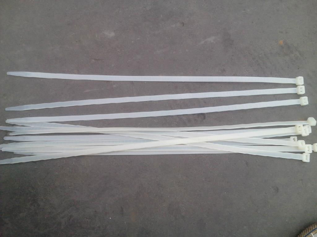 cable tie mould ,industry mould  5