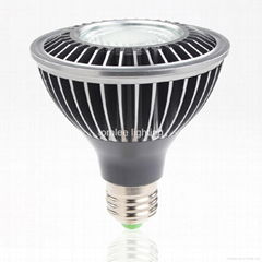 LED PAR30 spotlight