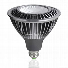 LED PAR38 Spotlight