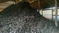 Coconut Shell Charcoal 5