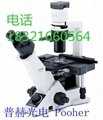 奧林巴斯雙目顯微鏡CX31