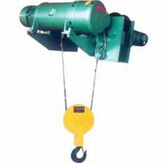 Non-standard Electric Hoist