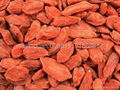 Dried Goji Berries 1