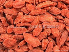 Dried Goji Berries