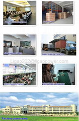 Ligao (Zhongshan) Electrical Appliance Co.,Ltd.