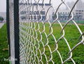 chain link fence  1