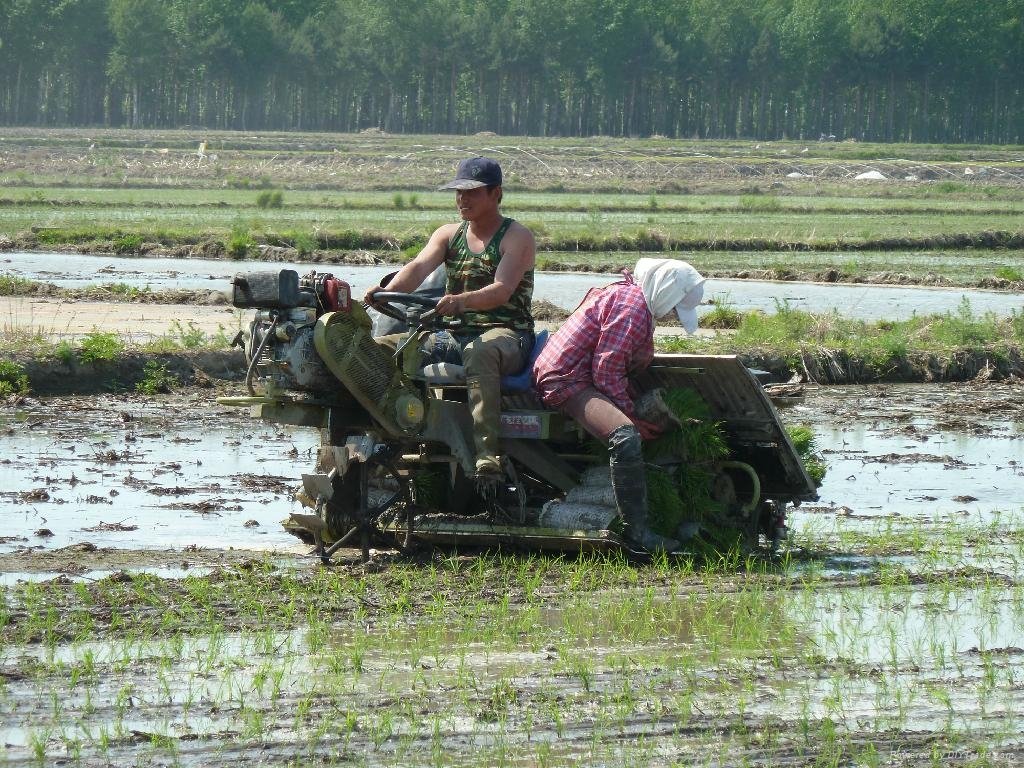 6 rows rice transplanter 4