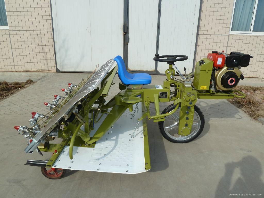 6 rows rice transplanter 5