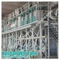 20-1000TPD maize flour machinery with