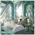 2000TPD production line for removing maize germ