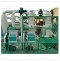 20-1000TPD Maize Flour Processing with