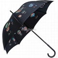 Straight Umbrella 1