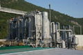 biomass gasification power plant