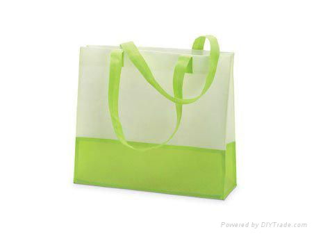 non woven shopping bag 4