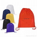 polyester shoes bag 1