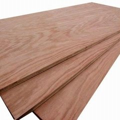 Okoume, Bintangor, Birch, Poplar, Pine Commercial Plywood For Furniture