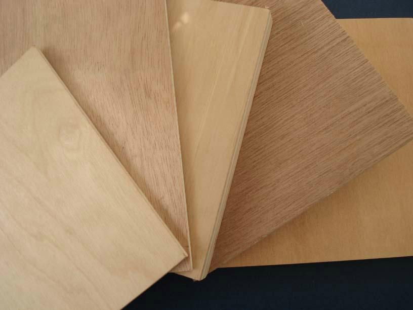 Okoume, Bintangor, Birch, Poplar, Pine Commercial Plywood For Furniture 2