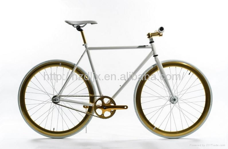 OEM Offered Fixie Bike