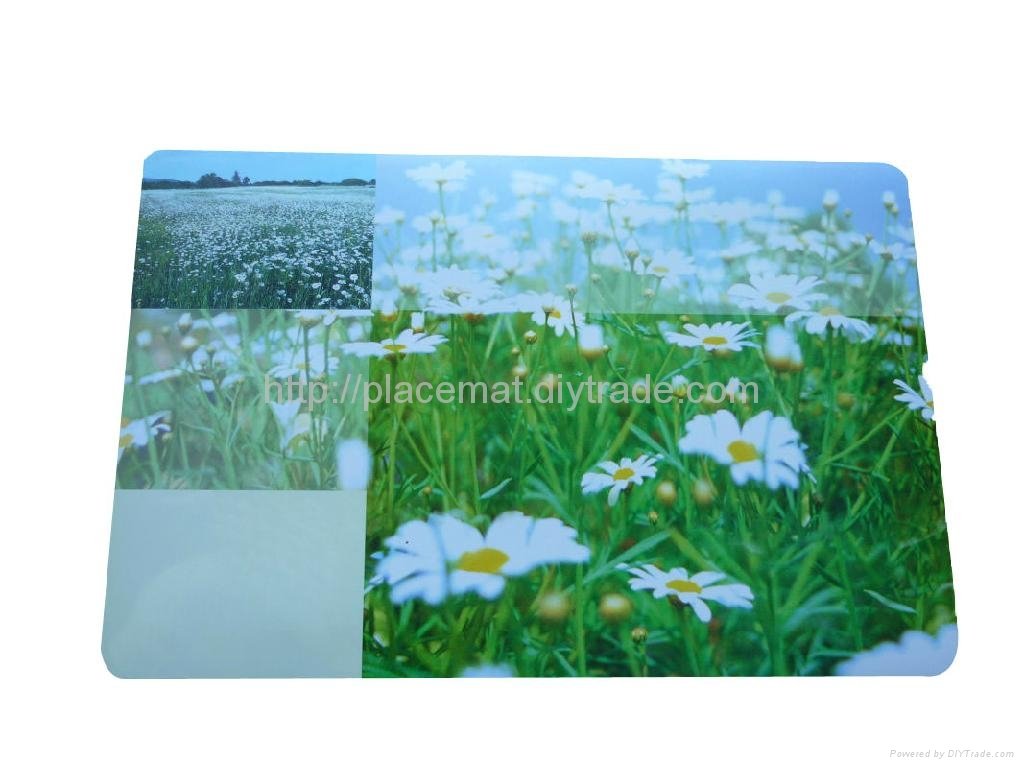 buy PP white plastic eco-friendly printing placemats  3