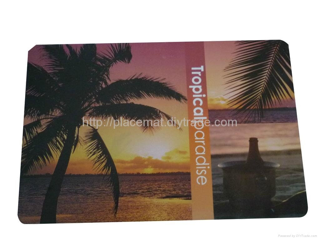 buy PP white plastic eco-friendly printing placemats  4