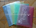 A4 Transparent Color Buckle File Pocket/PP File Bag with Button 