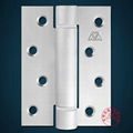 Spring Stainless Steel Hinge with 19mm