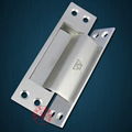 Stainless Steel Concealed Door Hinge