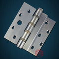 Stainless Steel Foldout Door Hinge