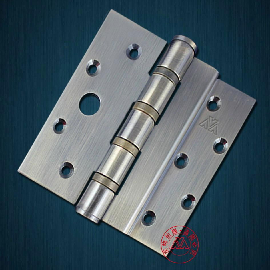 Stainless Steel Foldout Door Hinge