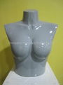 Female Bust Mannequin