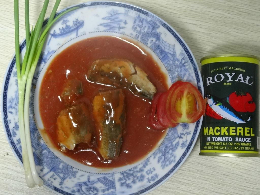 Supply High Quality Canned Mackerel In Tomato Sauce 2