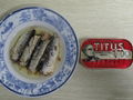 Supply High Quality Canned Sardine In oil 1