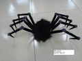 Feather spider