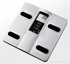 Body Fat Scale