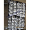 Pure White Garlic Braids for Exporting