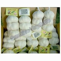 pure white garlic 5.5cm packed in 10kg carton